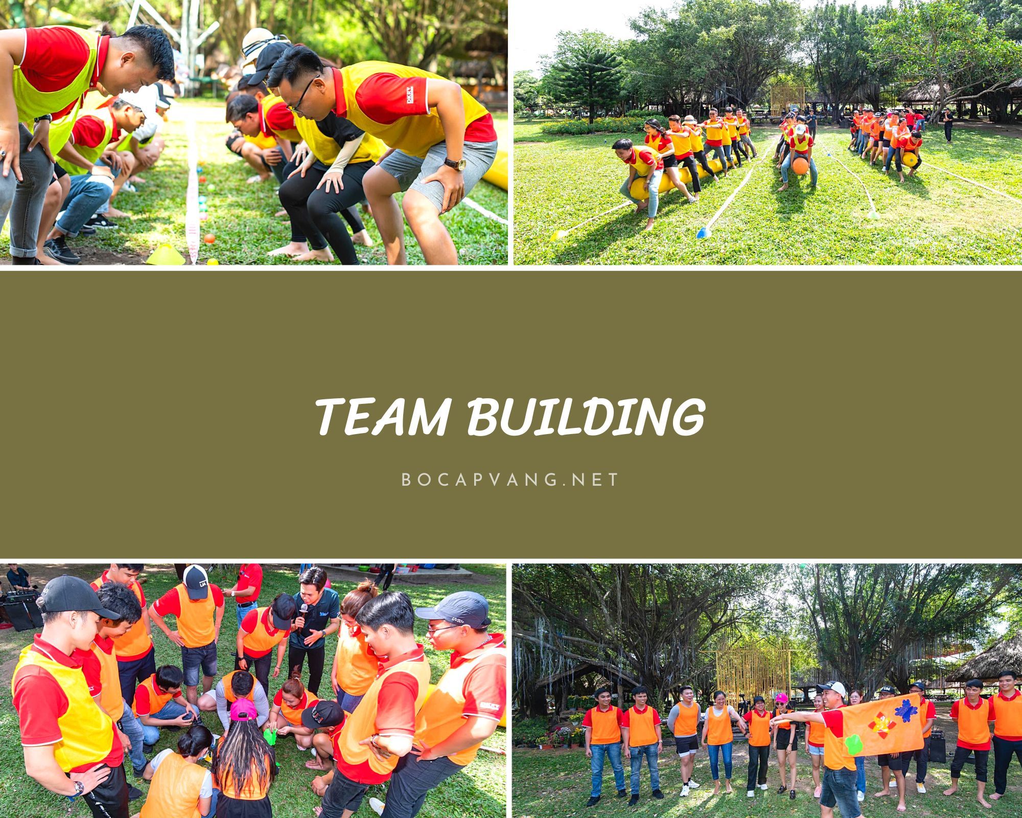 Tổ Chức Teambuilding Đầy Màu Sắc Tại Bò Cạp Vàng