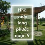 Khám phá khu du lịch sinh thái nhà vườn Long Phước quận 9 