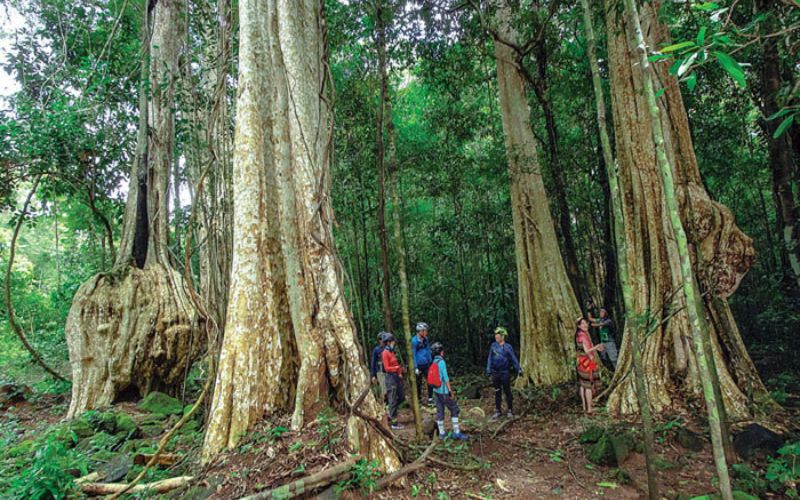 Vườn Quốc gia Cát Tiên