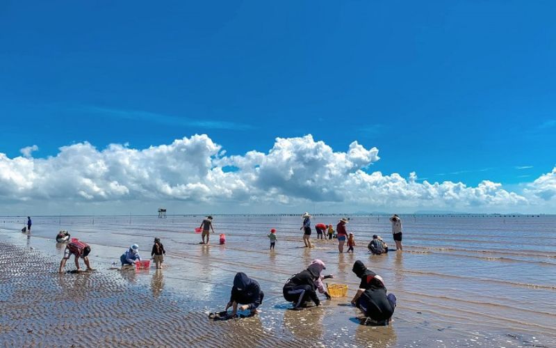 Biển Tân Thành
