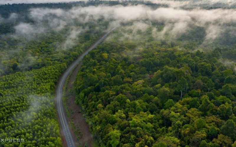 Khám phá rừng Mã Đà kinh nghiệm cho chuyển đi đáng nhớ và an toàn 1 kham pha rung ma da 1