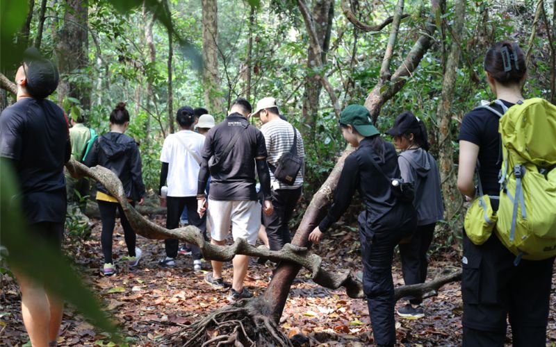 Khám phá rừng Mã Đà kinh nghiệm cho chuyển đi đáng nhớ và an toàn 3 kham pha rung ma da 3