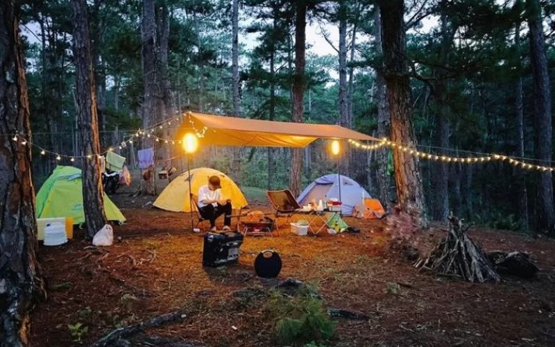 Khám phá rừng Mã Đà kinh nghiệm cho chuyển đi đáng nhớ và an toàn 5 kham pha rung ma da 6