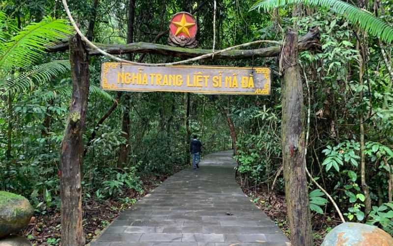 Khám phá rừng Mã Đà kinh nghiệm cho chuyển đi đáng nhớ và an toàn 9 kham pha rung ma da 9