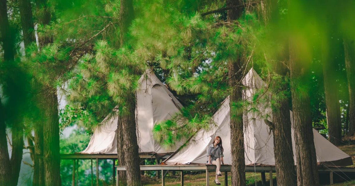 Điểm qua 14 bãi cắm trại Hồ Trị An cực chill mà bạn không nên bỏ lỡ 2 Khu cà phê cắm trại xanh - GREEN CAMPING