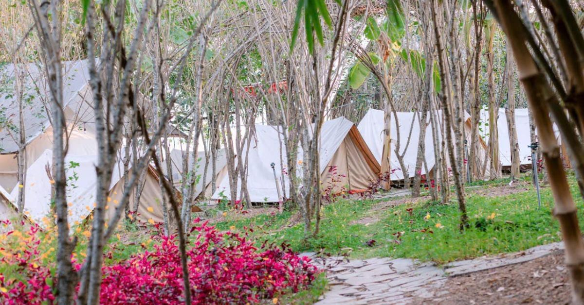Điểm qua 14 bãi cắm trại Hồ Trị An cực chill mà bạn không nên bỏ lỡ 8 Camping Gió Trị An