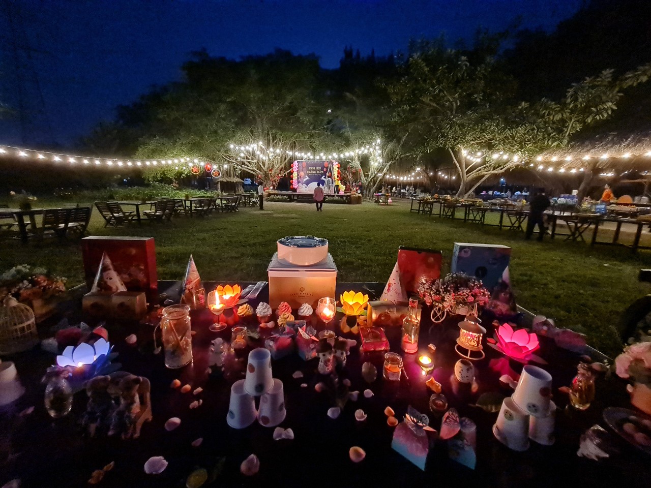 318761543_8320046024733263_298244850334733778_n