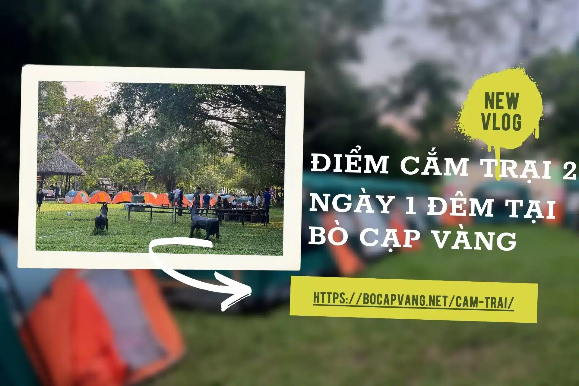 Cam trai 2 ngay 1 dem 6 jpg