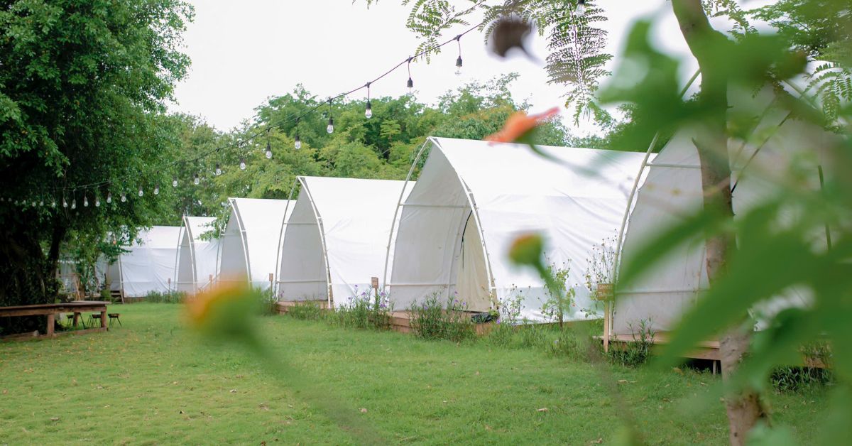 Điểm qua 14 bãi cắm trại Hồ Trị An cực chill mà bạn không nên bỏ lỡ 11 Napy Garden