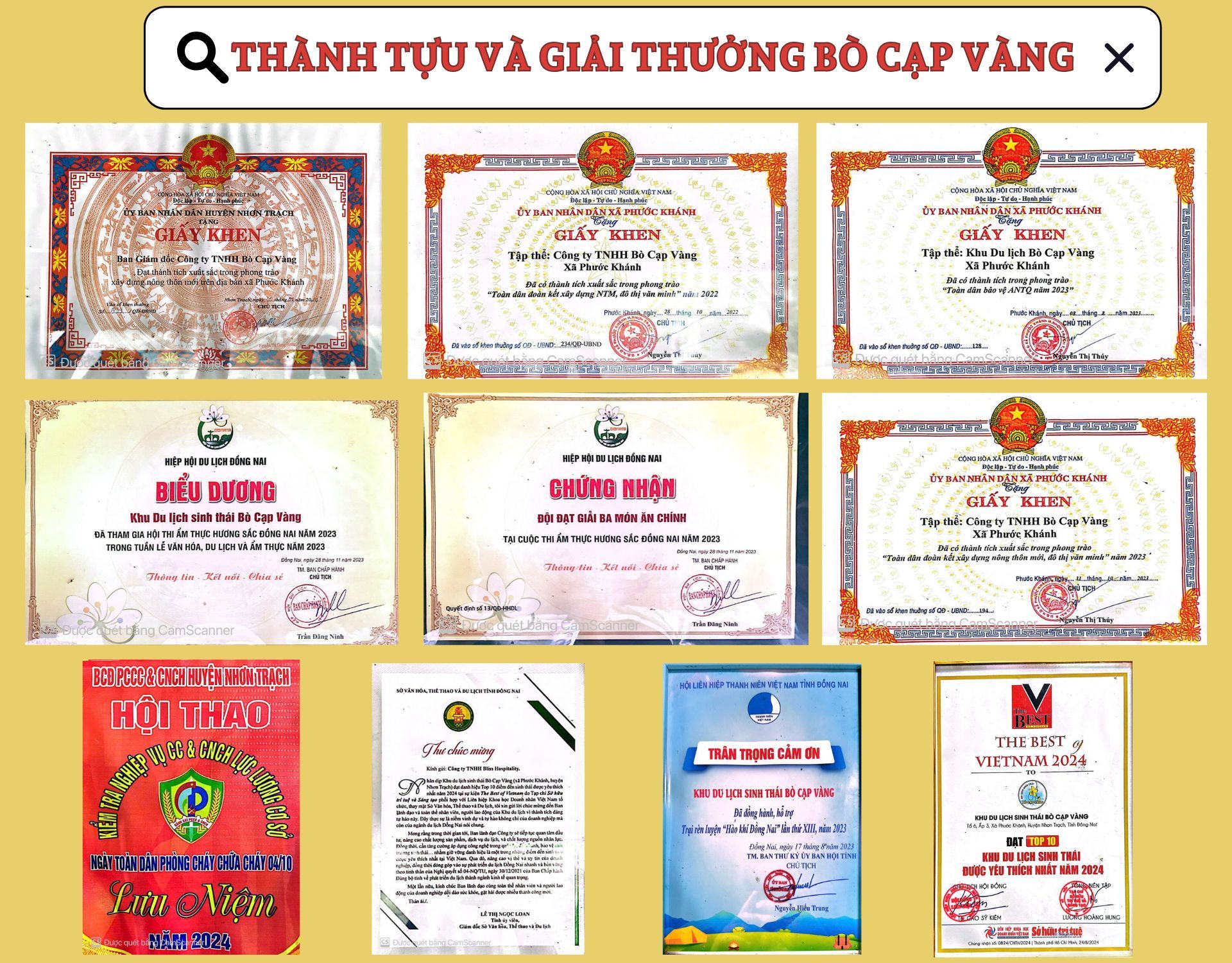 THANH-TUU-VA-GIAI-THUONG-BO-CAP-VANG-640f8707