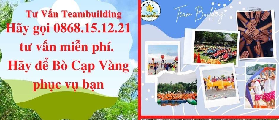 To chuc Teambuilding thu vi tai Bo Cap Vang 2