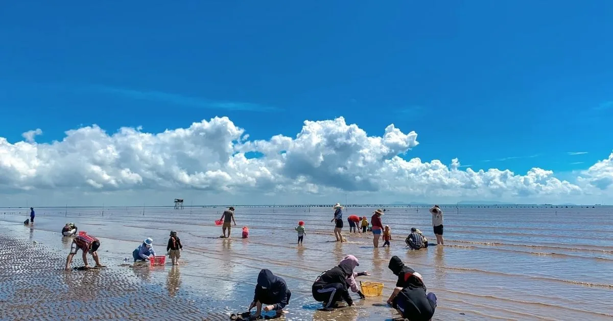 Trải nghiệm cào nghêu