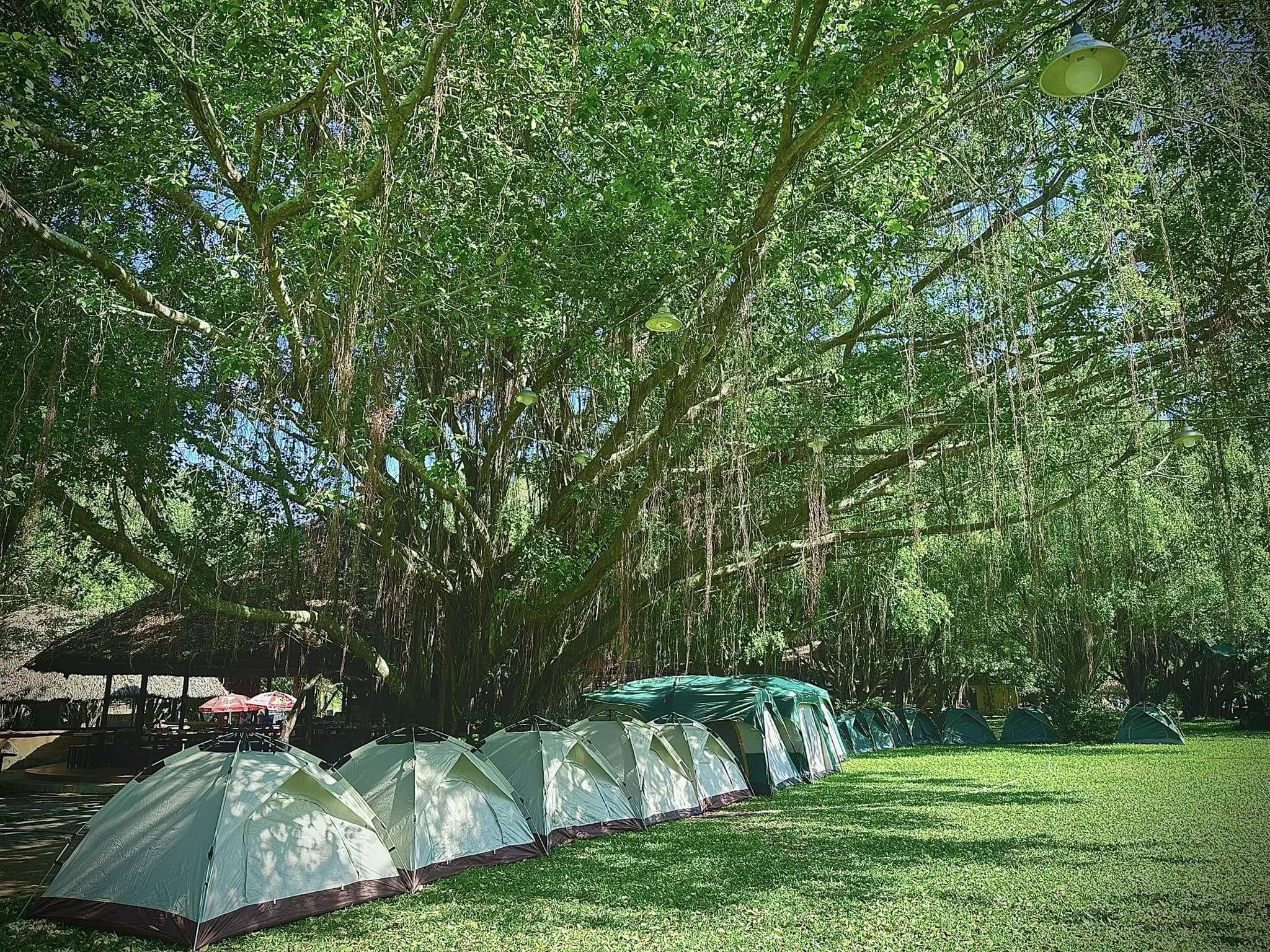 Cắm trại với mẹ thiên nhiên