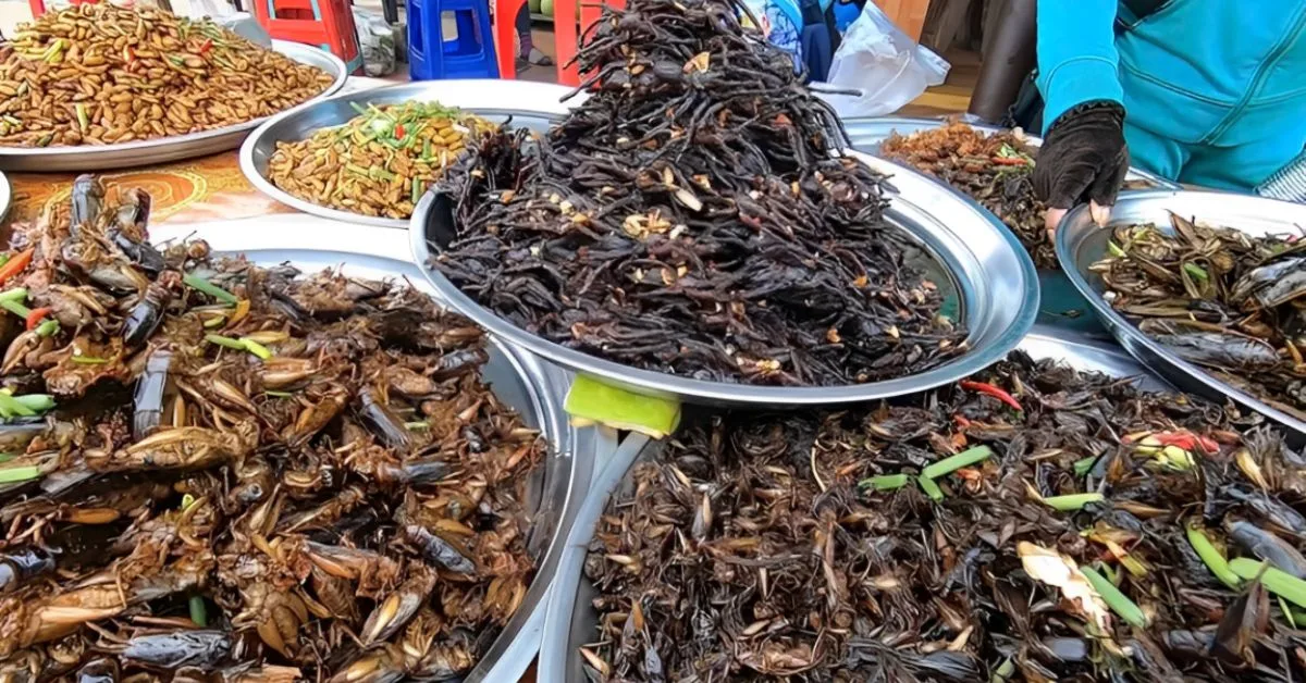 Đủ những loại côn trùng đã được bày bán