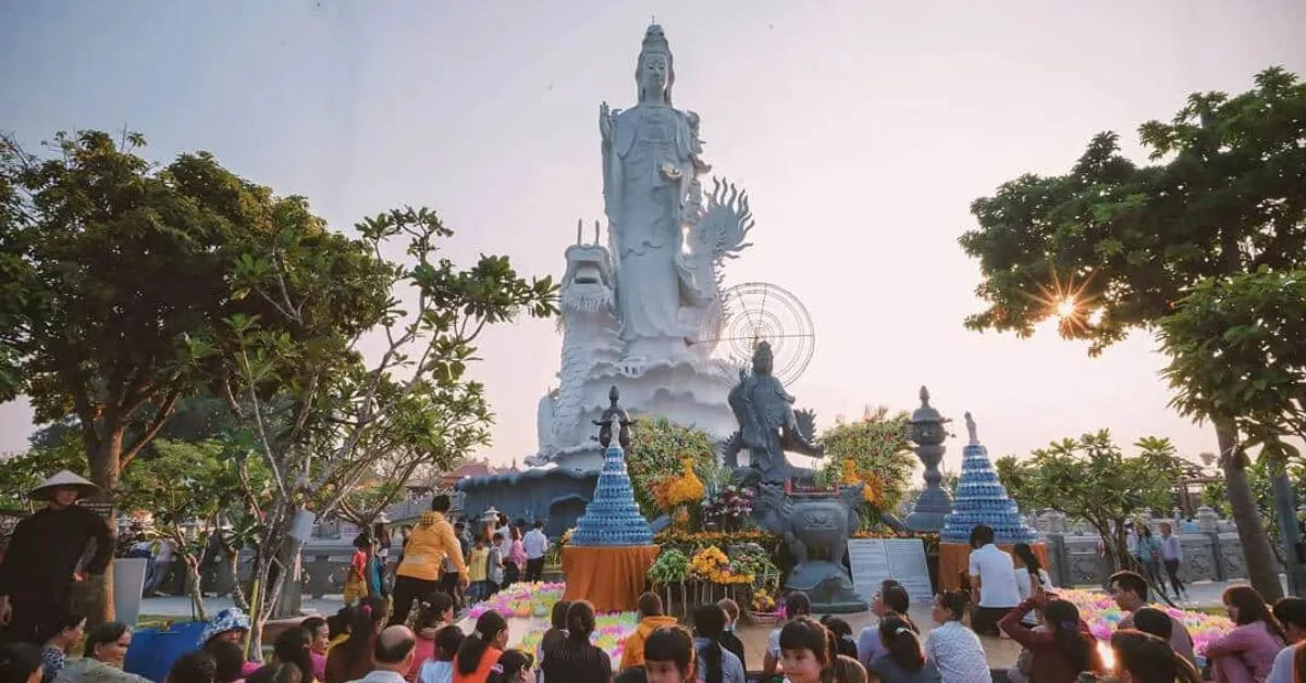 Các hoạt động xã hội