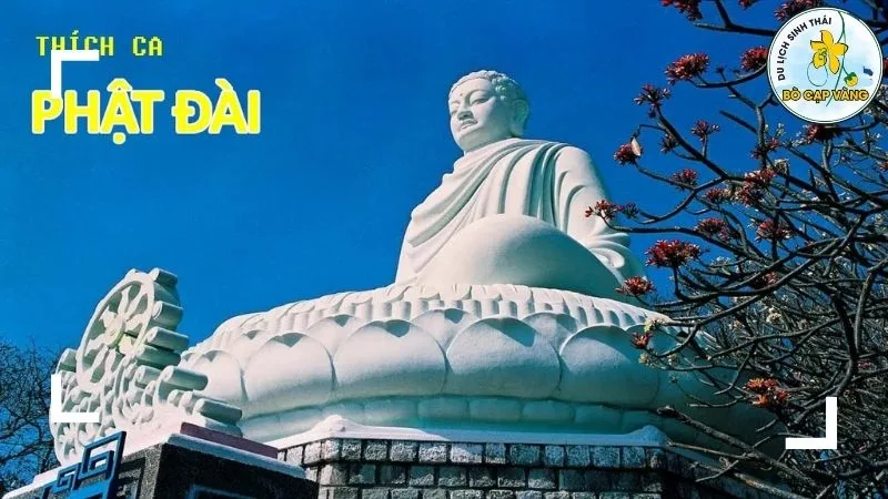 Thời gian thích hợp đến Thích Ca Phật Đài