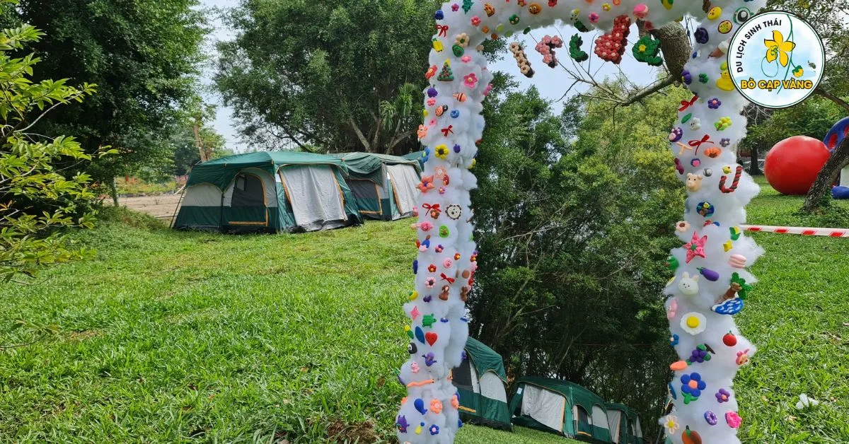 Lý do du khách nên lựa chọn Bò Cạp Vàng cho chuyến đi cắm trại?