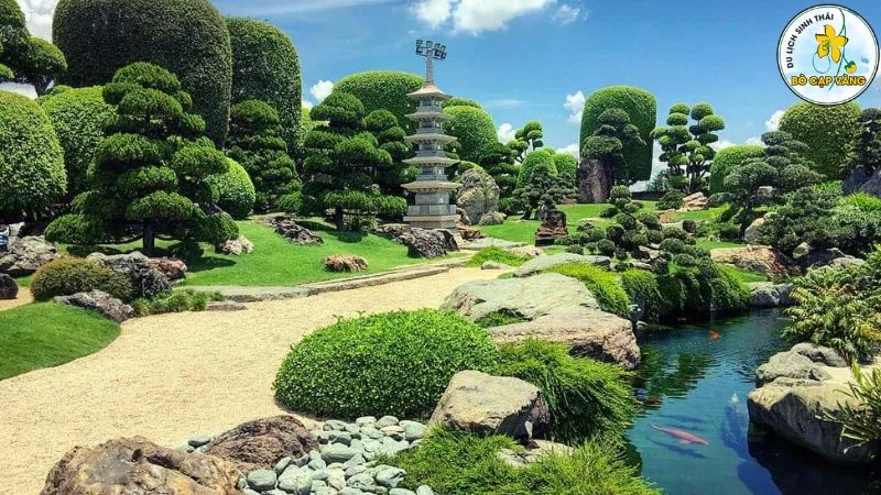 Cây bonsai đẹp, đắt tiền