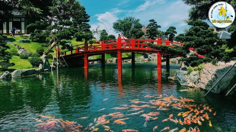 Cầu bắt ngang hồ cá koi  