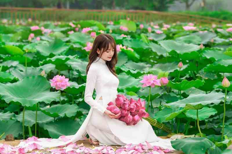 dam sen tam da