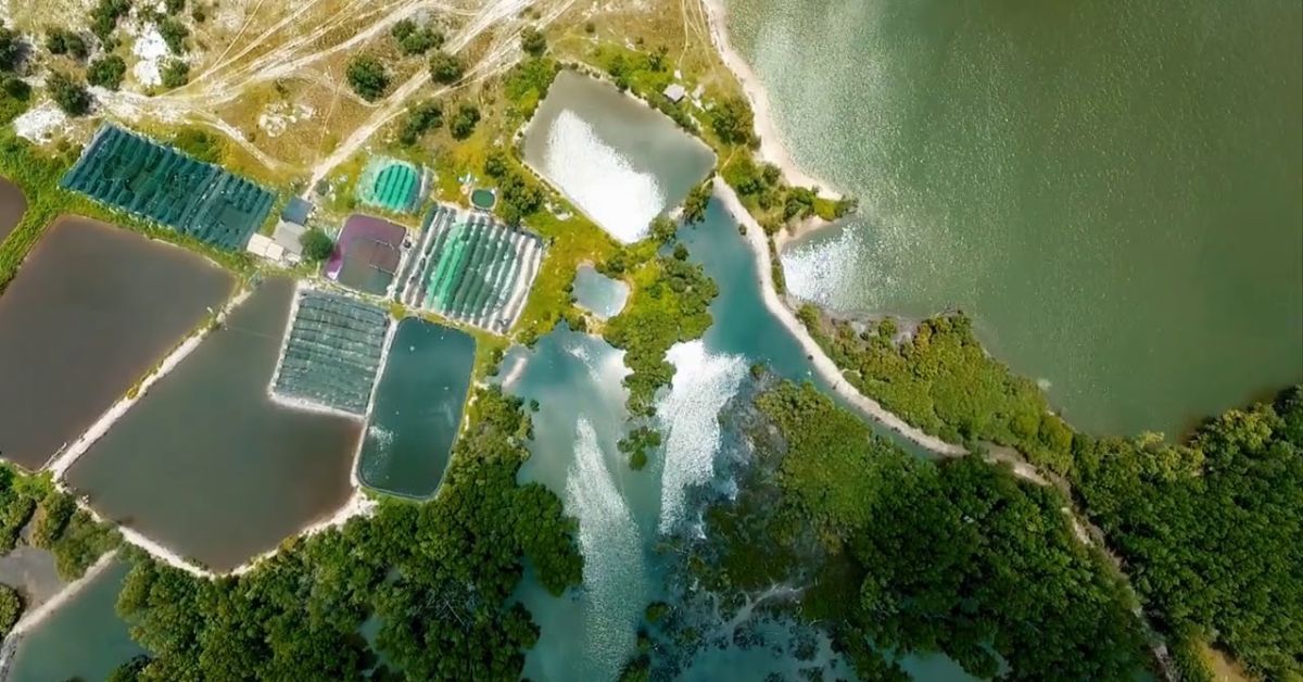 Giới thiệu về di tích Căn cứ Rừng Sác Nhơn Trạch