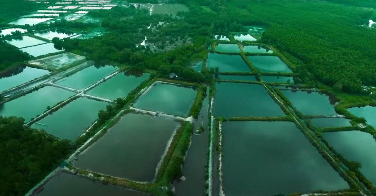 Lịch sử hình thành và phát triển của căn cứ Rừng Sác Nhơn Trạch