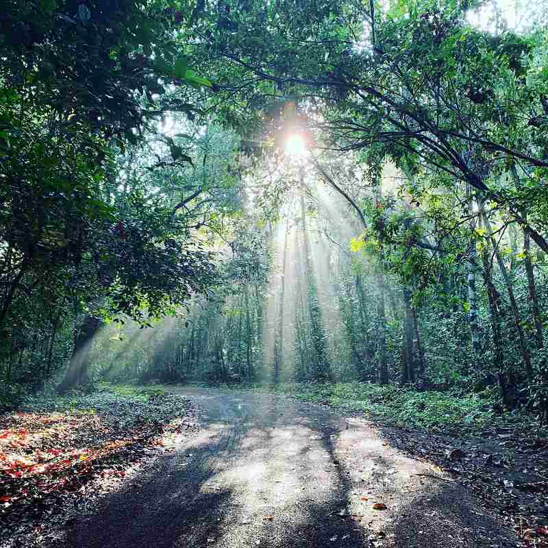 Hồ Trị An điểm du lịch bình yên, cực chill gần Sài Gòn 9 du lich ho tri an