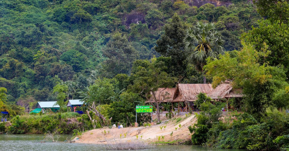 Thưởng thức món gà đốt lá chúc Ô Thum trứ danh