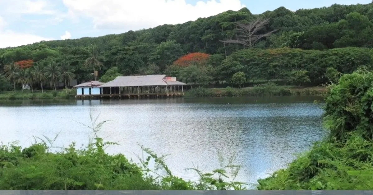 Thời điểm thích hợp đến hồ Suối Lam