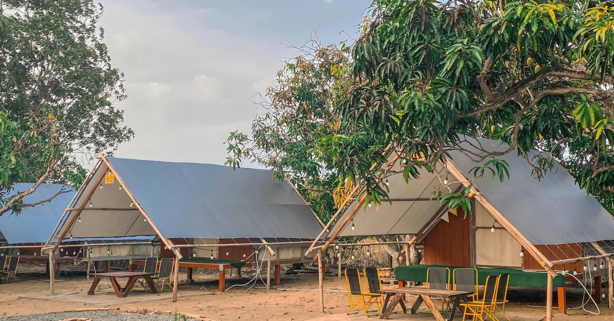 TOP 9 địa điểm cắm trại Cần Giờ đẹp và chill dành cho bạn 8 Khoai Camping Garden khu camping Cần Giờ