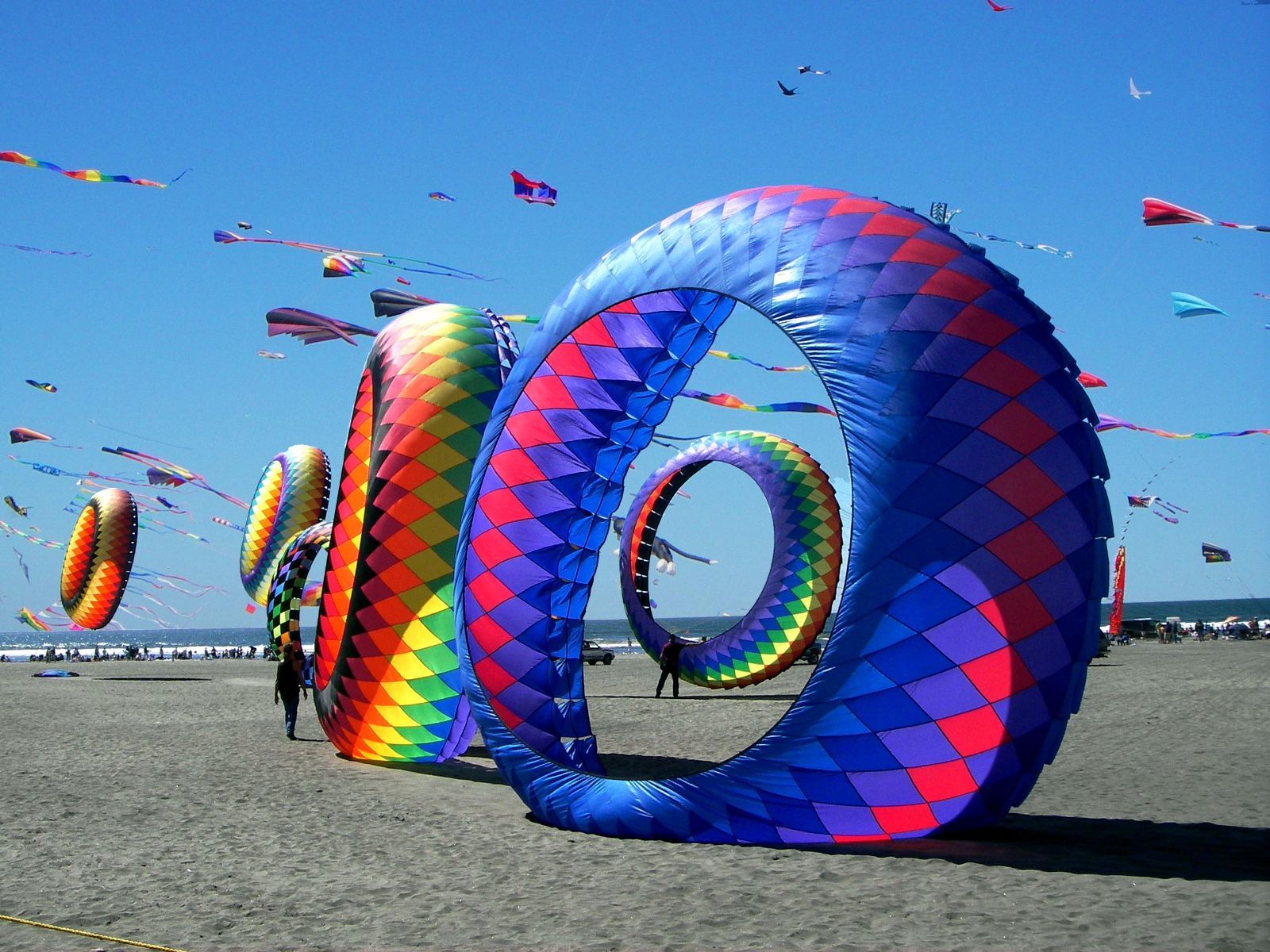 khu du lich bien dong vung tau