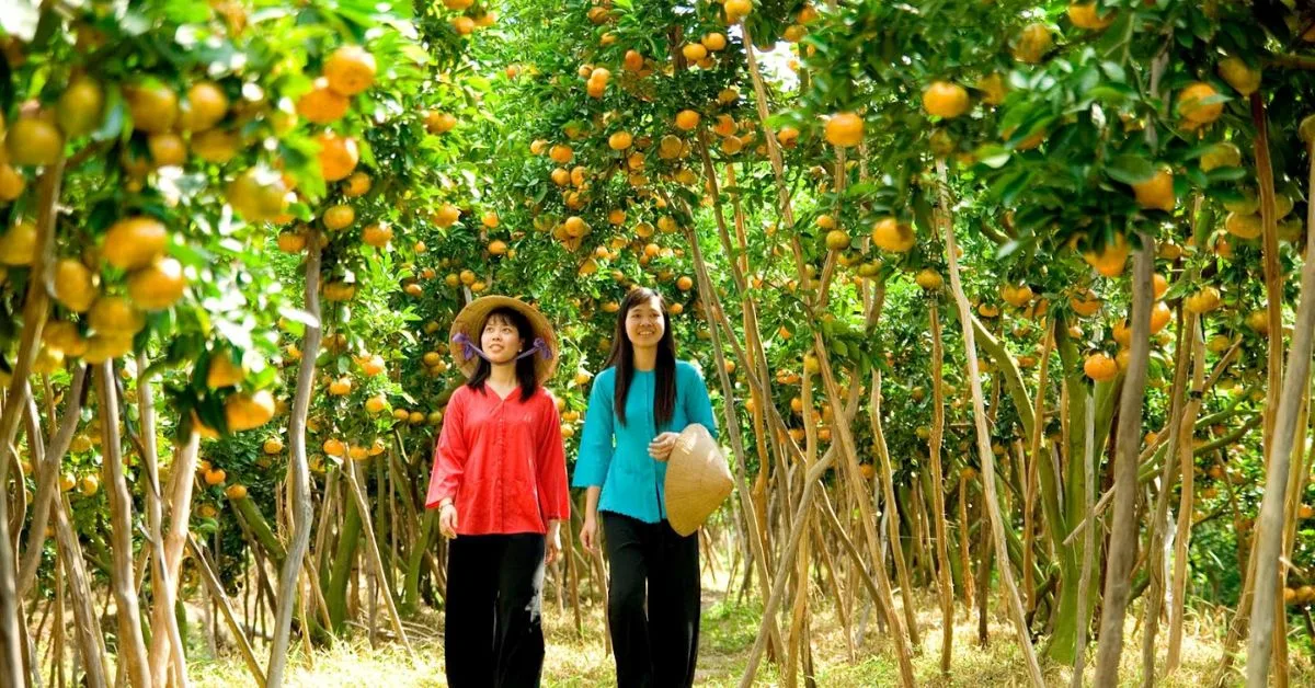 Tham quan vườn trái cây hấp dẫn ở Bến Tre