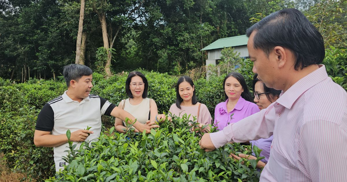 Quy trình chế biến độc đáo làm nên danh tiếng