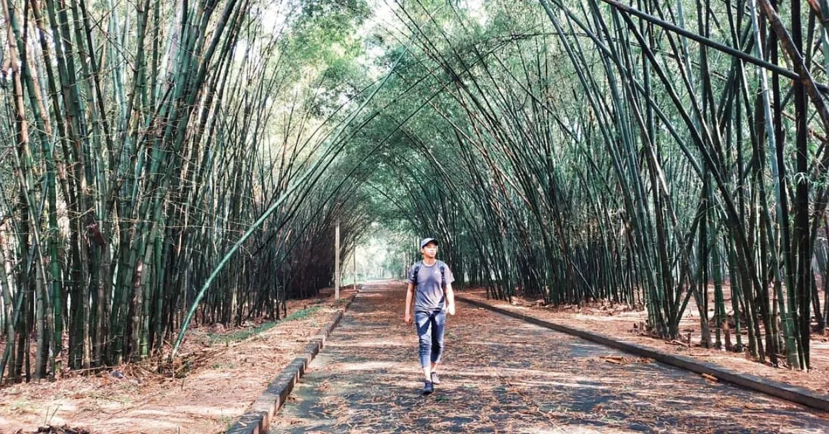 Làng tre Phú An - Khám phá cội nguồn của những loại tre 3 Thời gian thích hợp đến tham quan du lịch làng tre Phú An