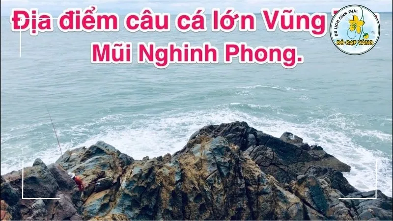 Địa điểm câu cá