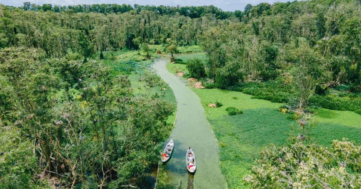 Đôi nét về Rừng Tràm Trà Sư ở An Giang 