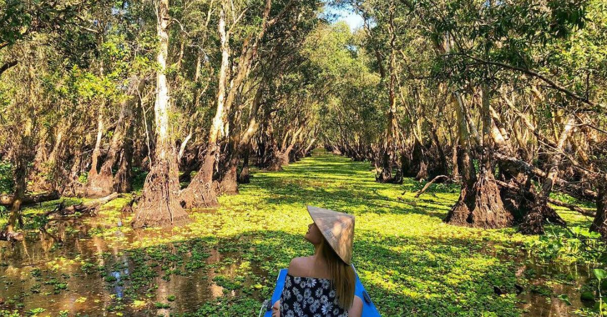 Phương tiện để di chuyển đến Rừng Tràm Trà Sư