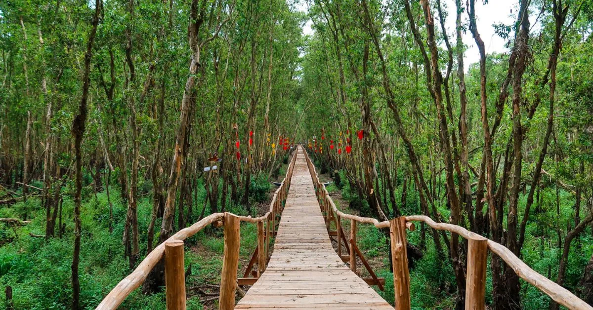 Đến Rừng Tràm Trà Sư tham quan những gì?