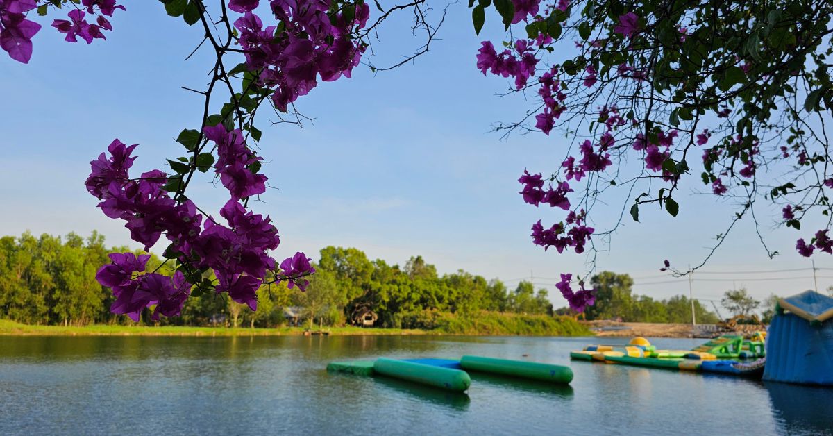 Bò Cạp Vàng với không gian sinh thái cho mọi hoạt động ngoài trời