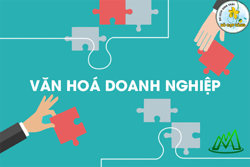 Góp phần xây dựng văn hóa công ty