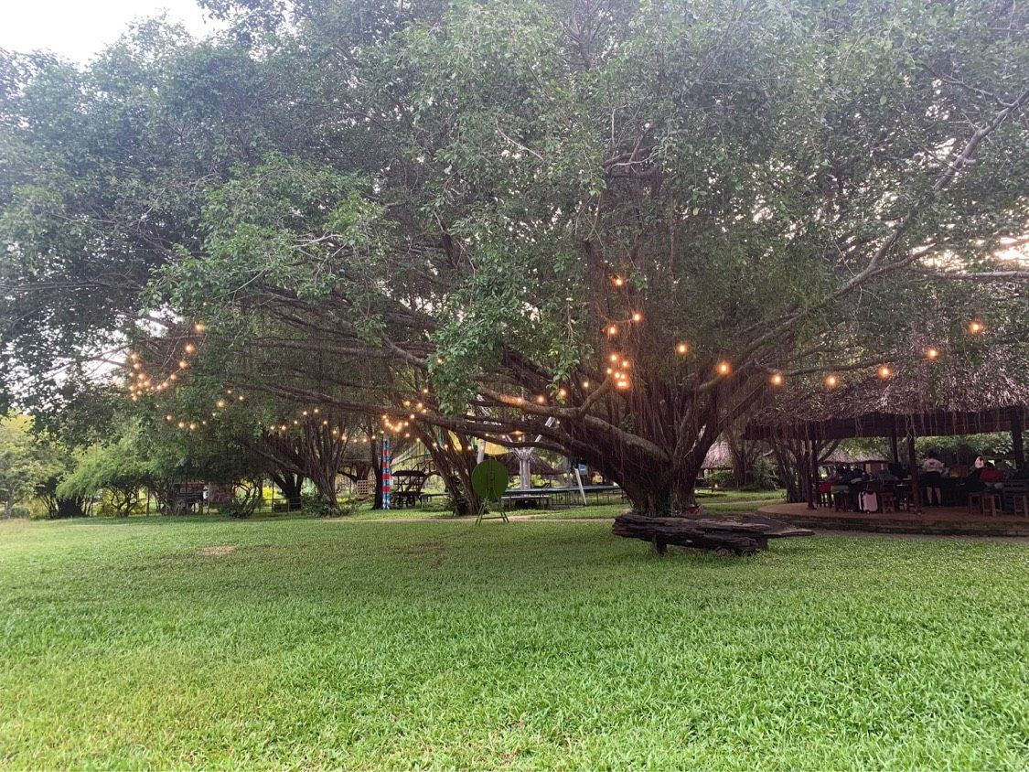 to-chuc-tiec-ngoai-troi-tai-bo-cap-vang-7-sinh-nhat-lung-linh-1-715fda55