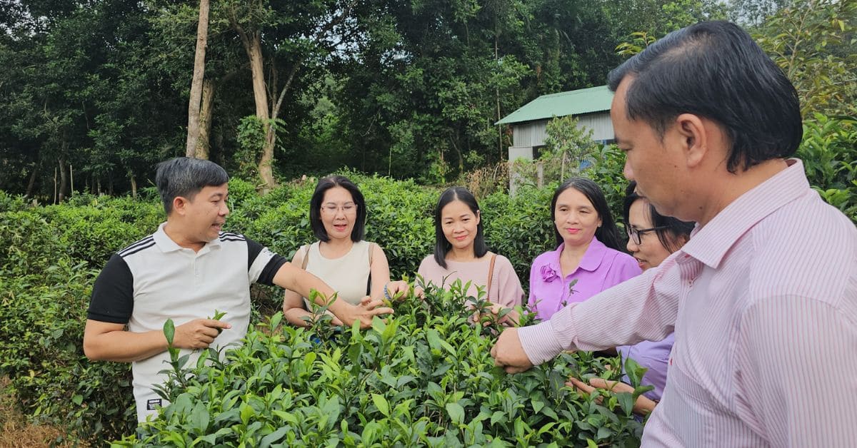 Tour FamTrip Về Nguồn Nhơn Trạch: Hành Trình Trở Về Lịch Sử Và Văn Hóa 6 Làng Trà Phú Hội