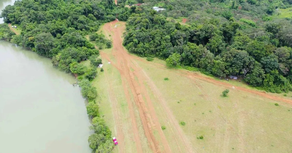 trang co bu lach 11 jpg