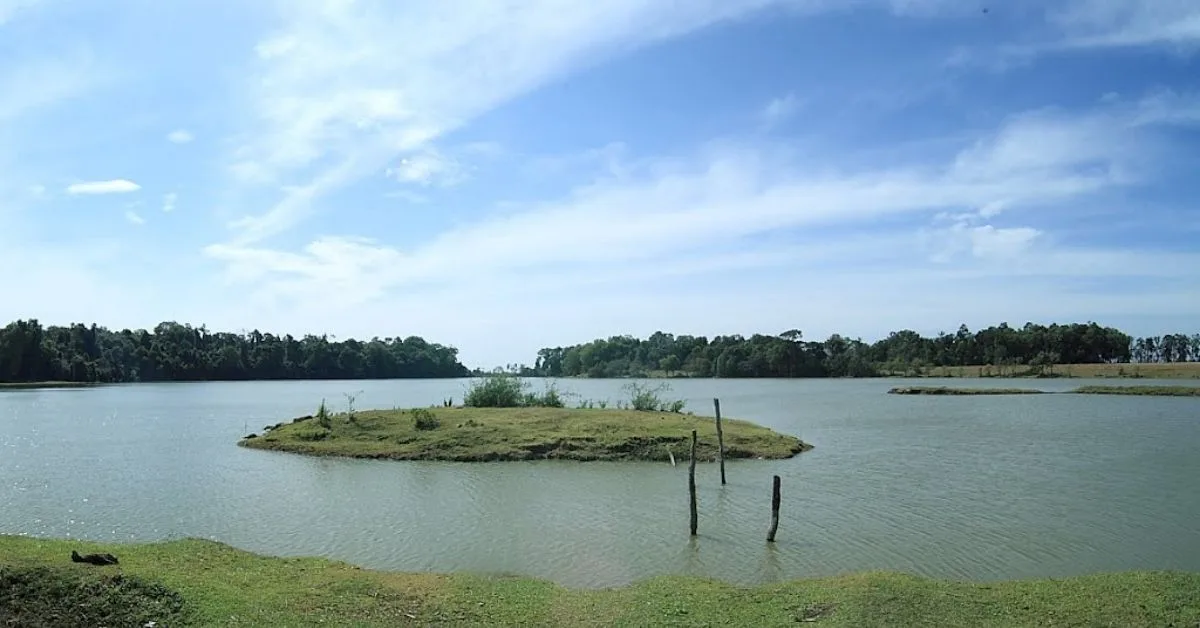 trang co bu lach 3 jpg