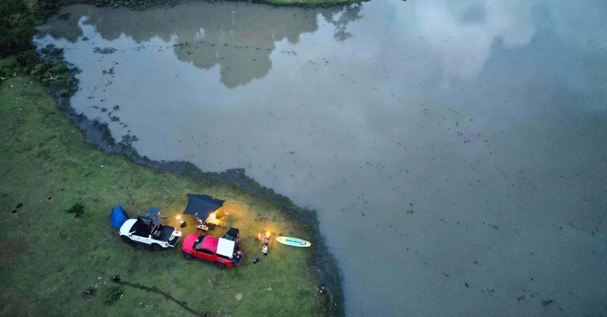 trang co bu lach 4 jpg