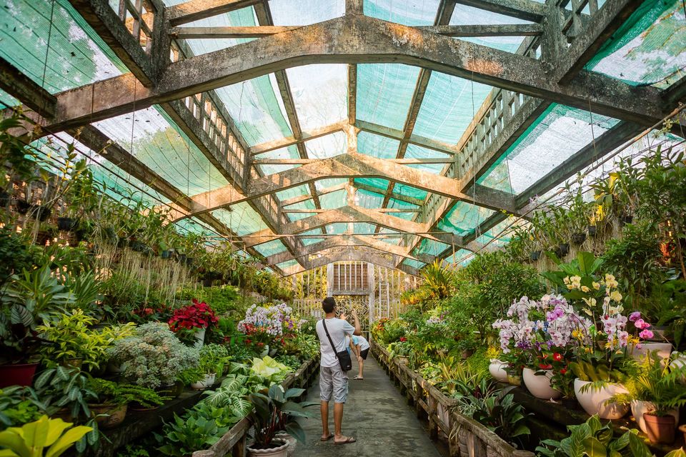 ve vao thao cam vien quan 1