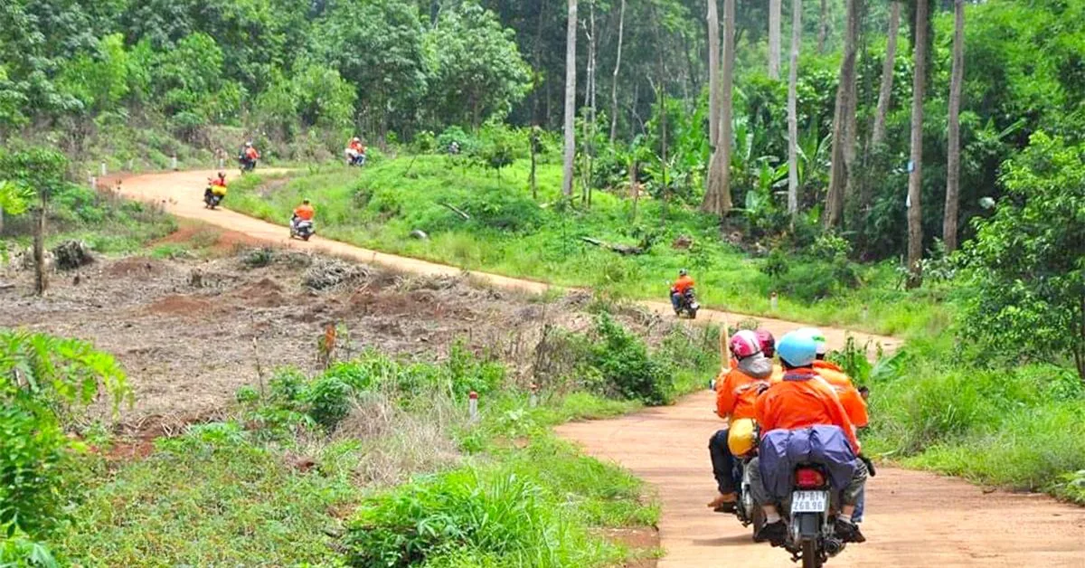 Cách di chuyển đến vườn quốc gia Bù Gia Mập