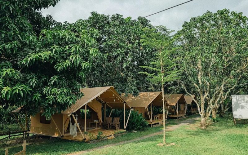 Địa điểm cắm trại Củ Chi BiniFarm Tropical