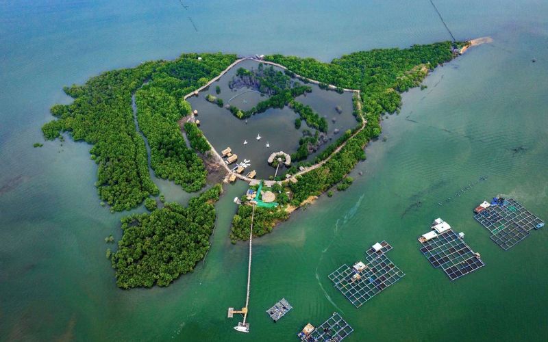 Đảo Gò Găng (Vũng Tàu)