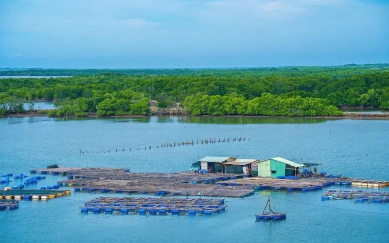 Đảo Long Sơn (Vũng Tàu)